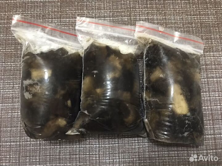 Грибы подберезовики,белые