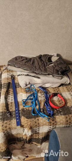 Ошейник для собак, поводок