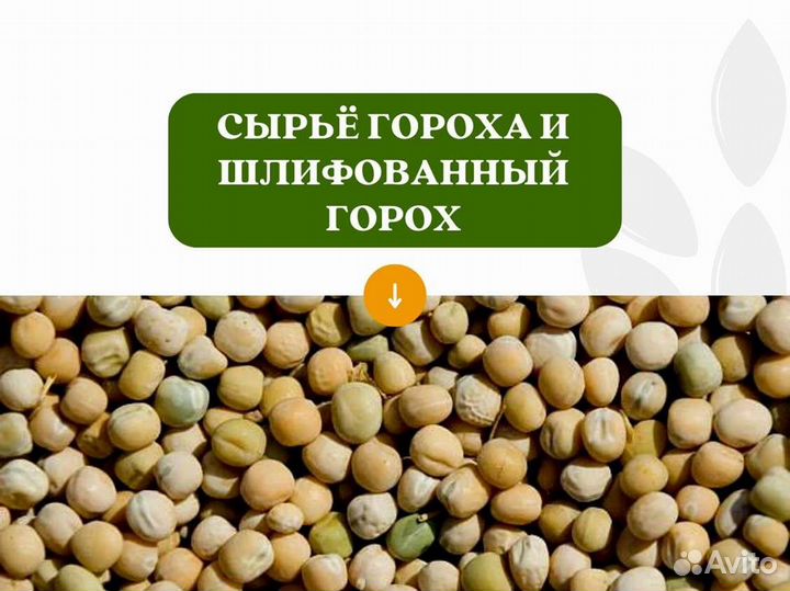 Горох с поля (сырье) (кг)