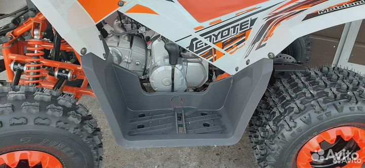 Квадроцикл Motoland coyote 125 оранжевый