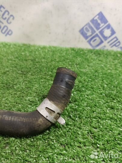 Патрубок печки Great Wall Safe внедорожник 2.2