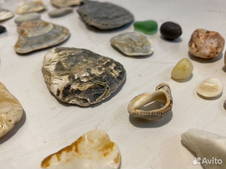 Морские ракушки камушки стеклышки