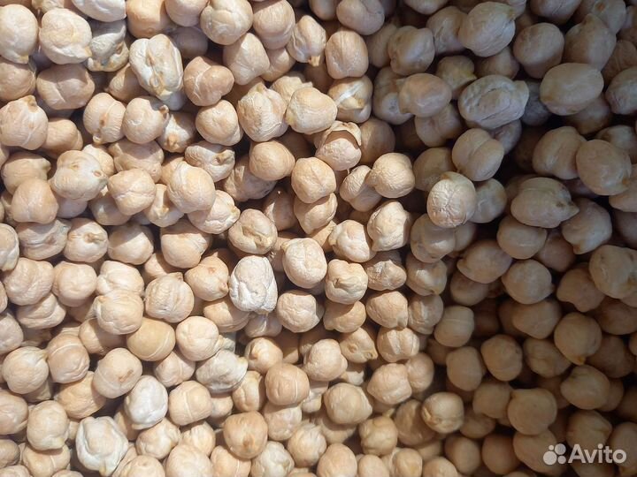 Нут, семечки, проса,сафлор,подсолнечное масло