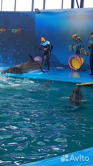 Тур на море. Все включено