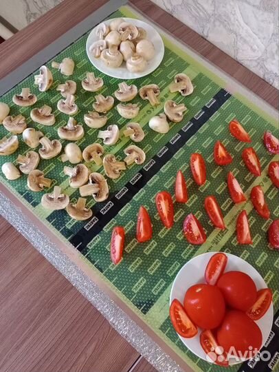 Сушилка для овощей и фруктов 0,5 м.*1 м