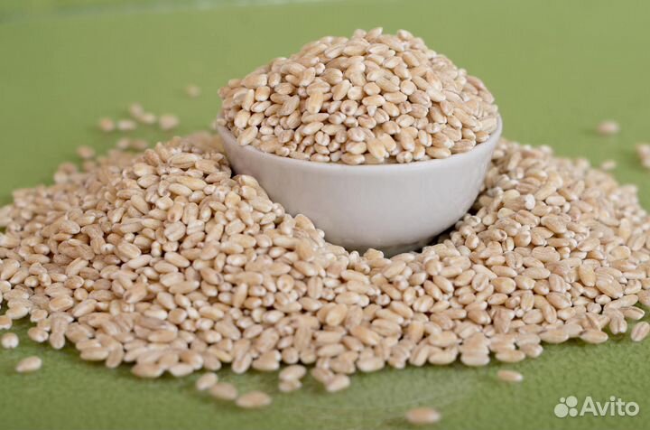 Мед, Сало, Перловка,изюм