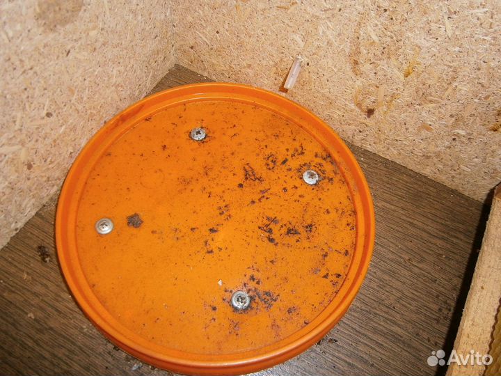 Нуклеус для пчёл