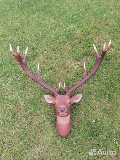 Чучело головы оленя марал