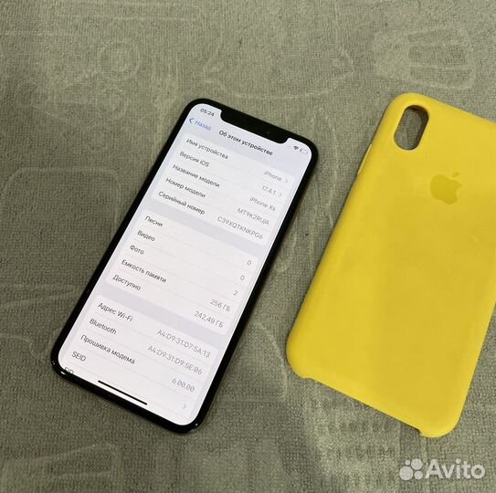 iPhone Xs, 256 ГБ