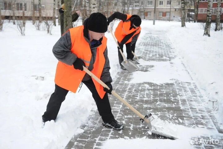 Дворник