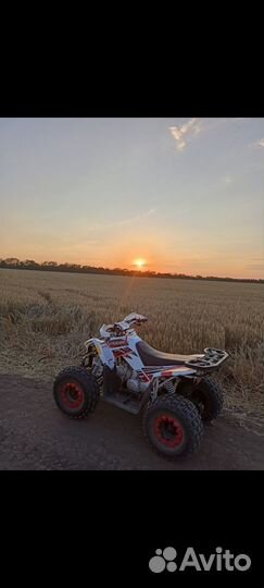 Квадроцикл