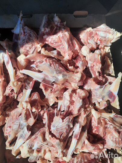 Мясо для собак