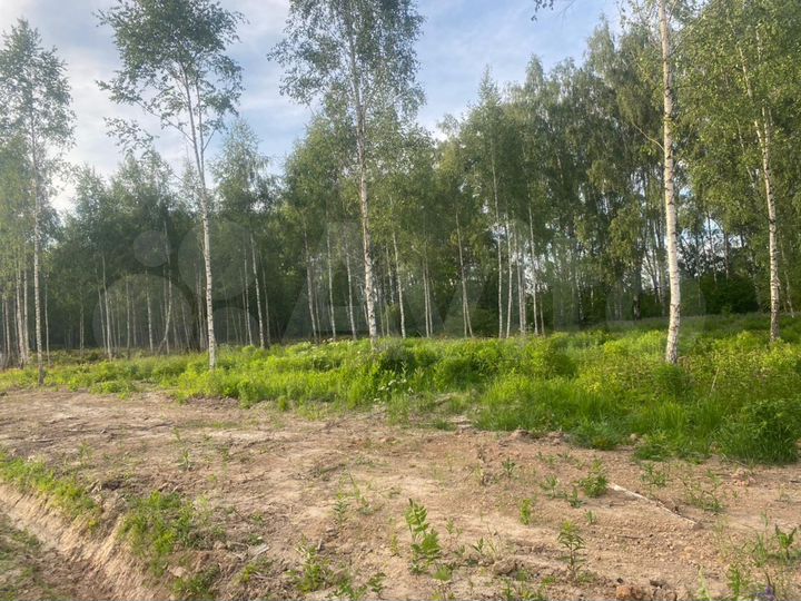 Участок 8 сот. (ИЖС)