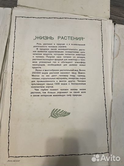 Альбом наглядное пособие