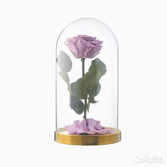 Розы в колбе любые