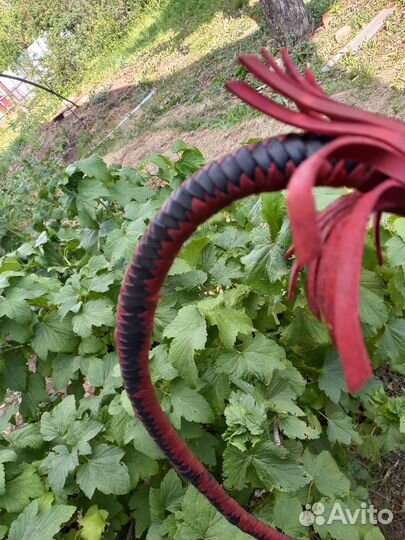 Нагайка кубанская