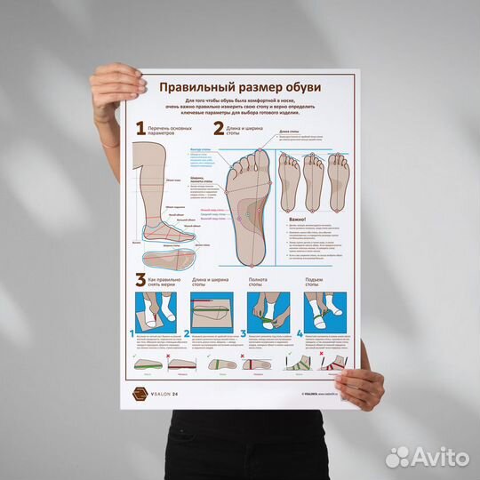 Плакат Размер обуви А1