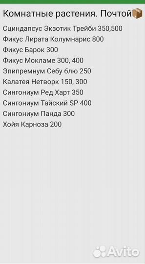 Комнатные цветы. Почтой