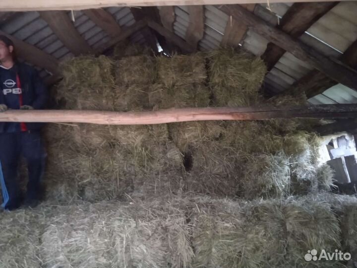 Сено в тюках