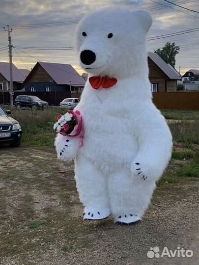 Медведь на праздник