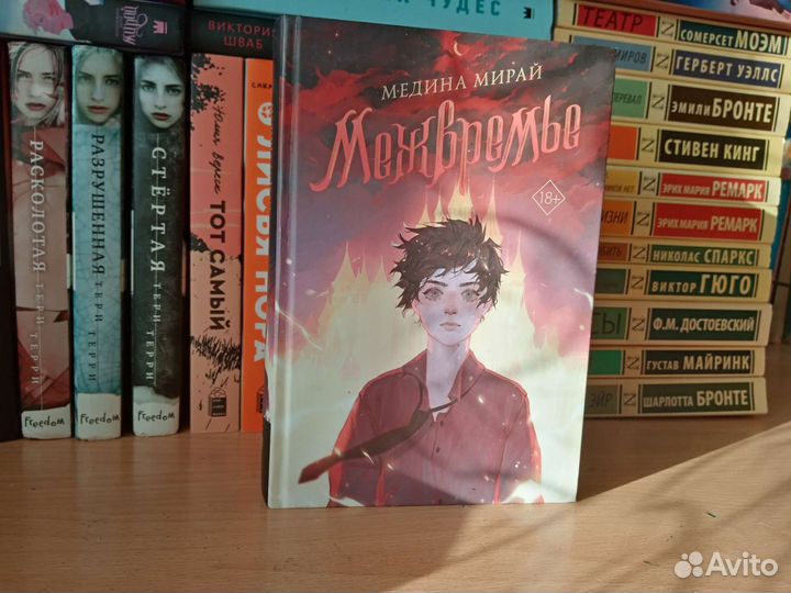 Медина Мирай «Межвремье»