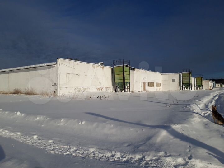 Свободного назначения, 2200 м²