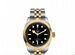 Часы Tudor Black Bay 32 S&G, M79583-0001