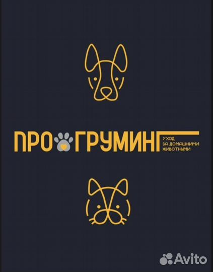 Груминг животных. Стрижка собак и кошек