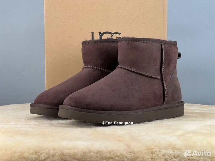 Угги мужские Ugg Mens Classic Mini II Chocolate