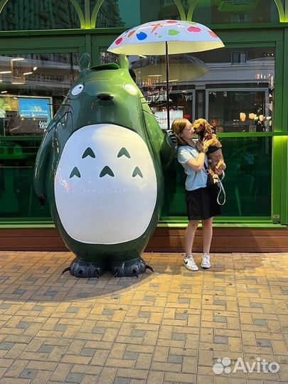 Выгул собак