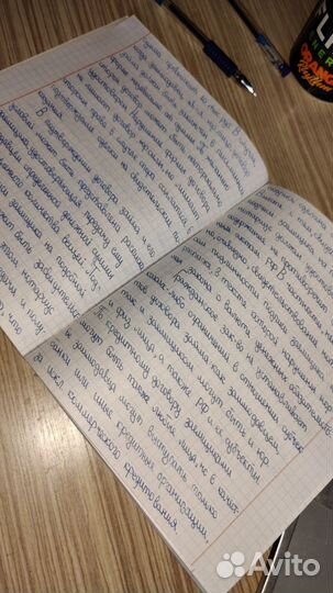 Перепишу от руки лекции, конспекты, рефераты