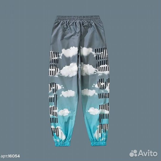Спортивные штаны NO name серо голубые С принтом об