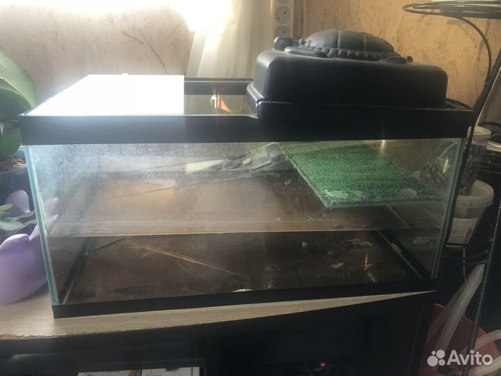Аквариум для черепахи