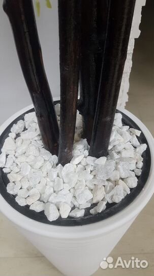 Декоративное дерево