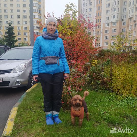 Дрессировка собак. Кинолог. Москва- Тушино