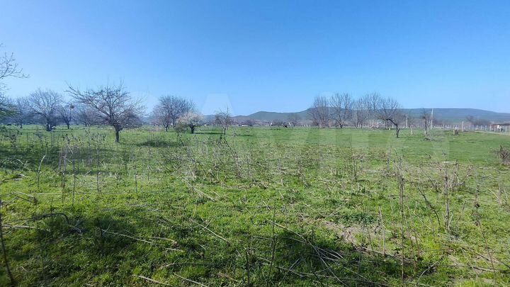 Участок 25 сот. (СНТ, ДНП)