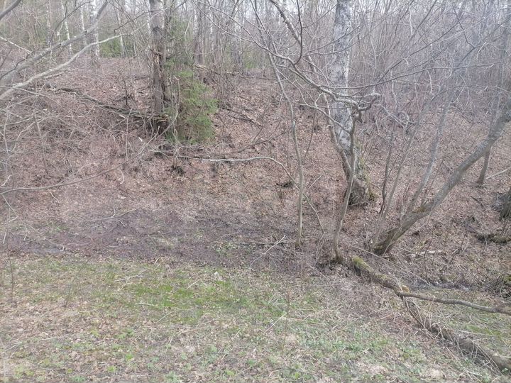 Участок 30 сот. (ИЖС)