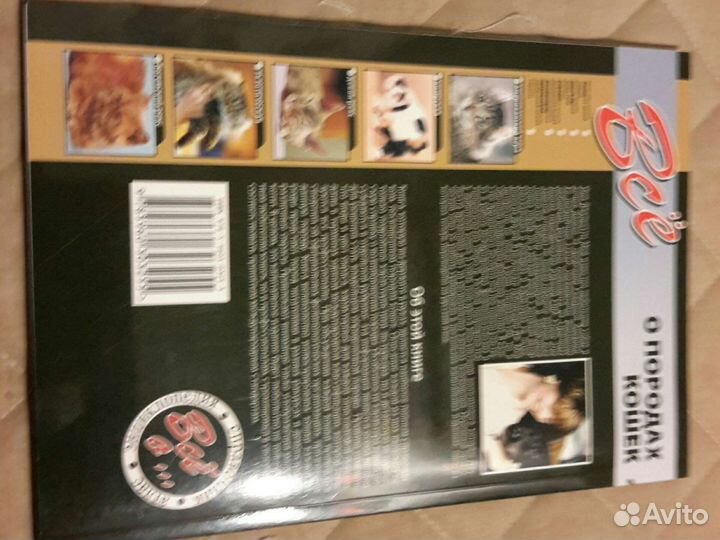 Все о породах кошек Джульетта Мей