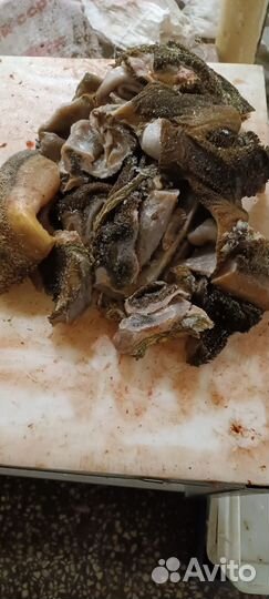 Обрезь для собак