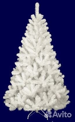Ель Белая 1 метр 80 см