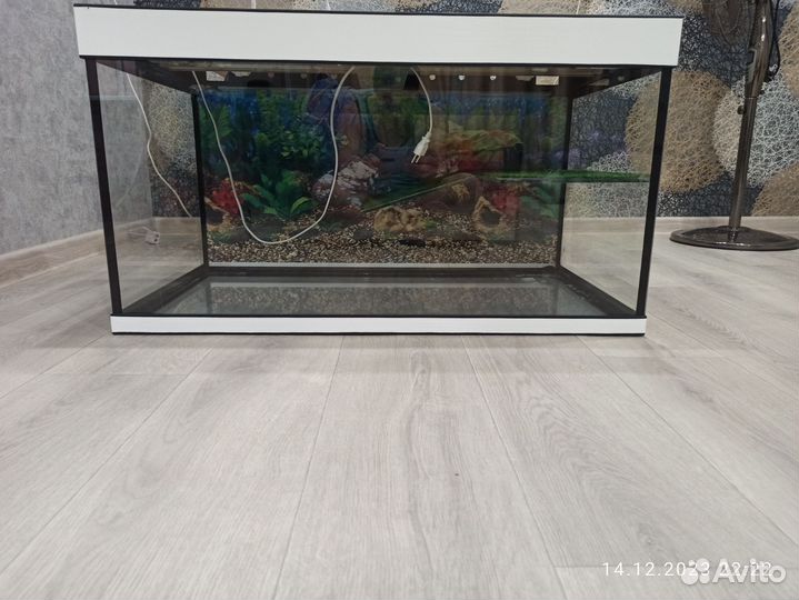 Террариум для красноухой черепахи