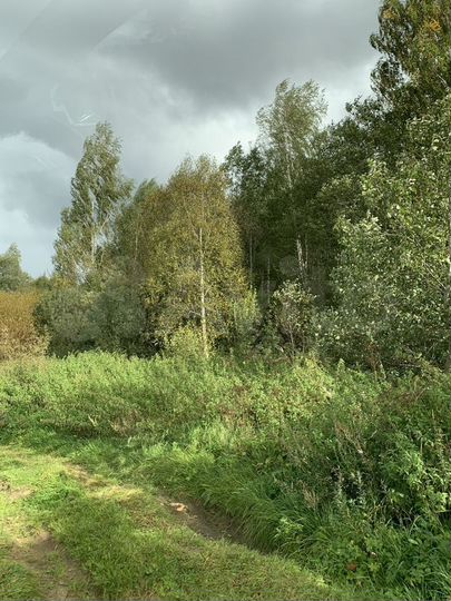 Участок 100 сот. (СНТ, ДНП)