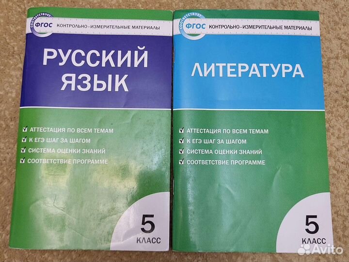 Русский язык,литература 5 класс