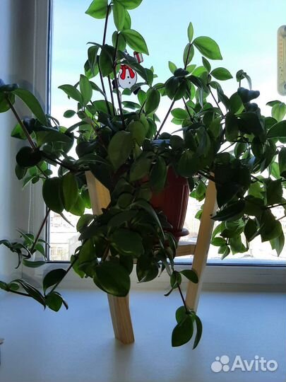 Подставка для цветов