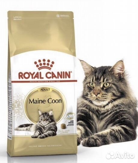 Корм роял канин 8 кг для мейн-кунов
