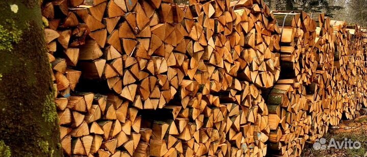 Дрова береза рубленные