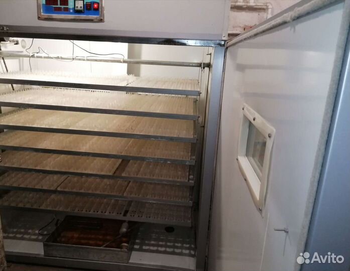 Инкубатор для яиц автоматический