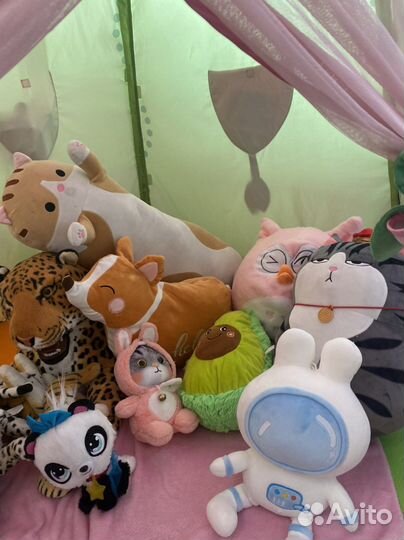 Кот сосиска авокадо сова эмоцианальная