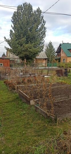 Дом 43 м² на участке 8,4 сот.