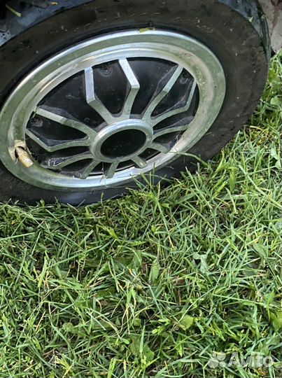 Геоаскутор